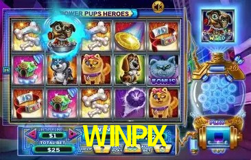 WINPIX TOP